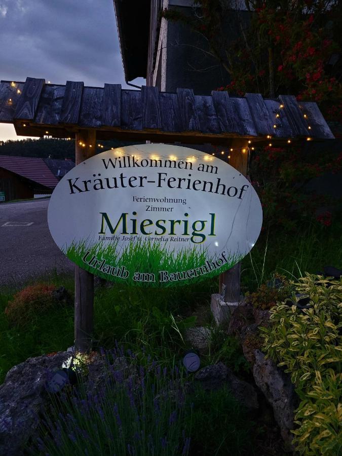 Losenstein Kraeuterhof Miesriglヴィラ エクステリア 写真