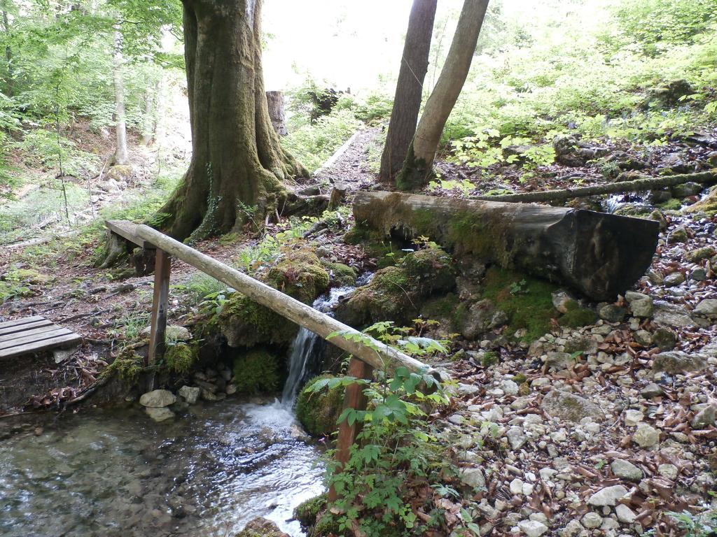 Losenstein Kraeuterhof Miesriglヴィラ エクステリア 写真
