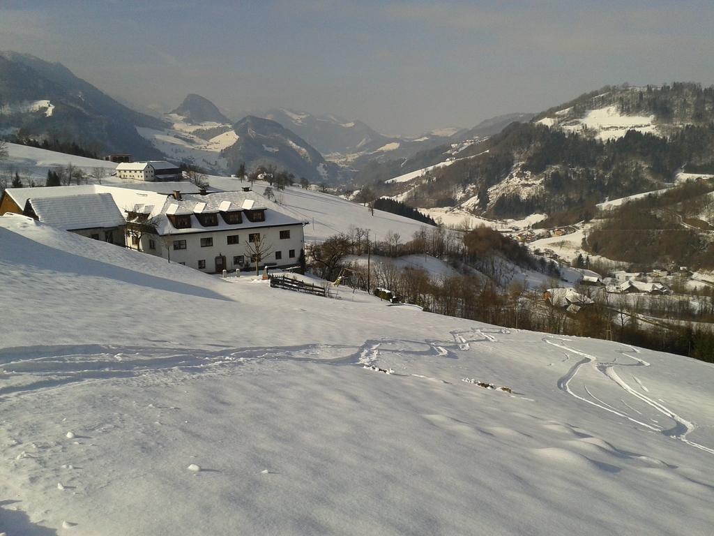 Losenstein Kraeuterhof Miesriglヴィラ エクステリア 写真