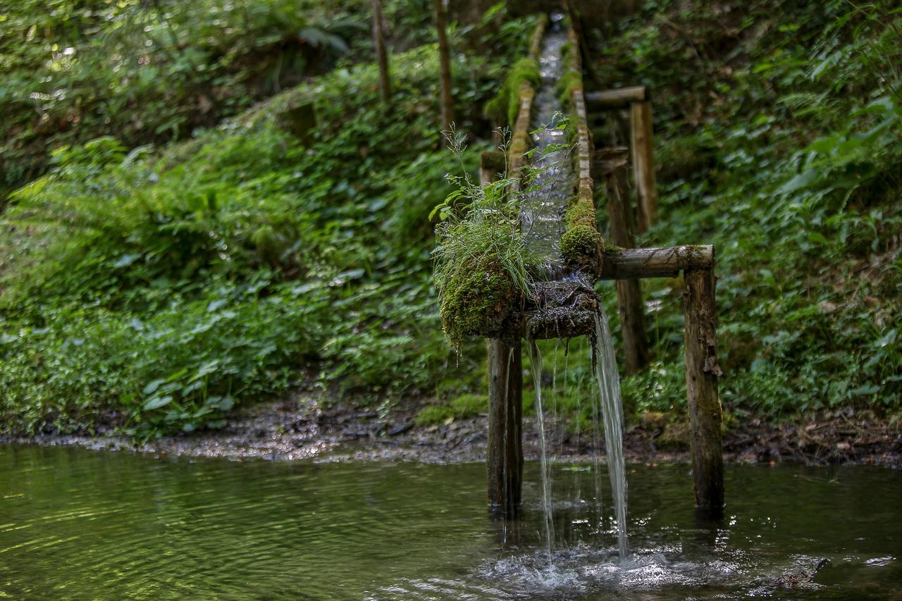 Losenstein Kraeuterhof Miesriglヴィラ エクステリア 写真