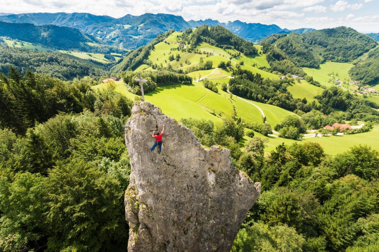 Losenstein Kraeuterhof Miesriglヴィラ エクステリア 写真