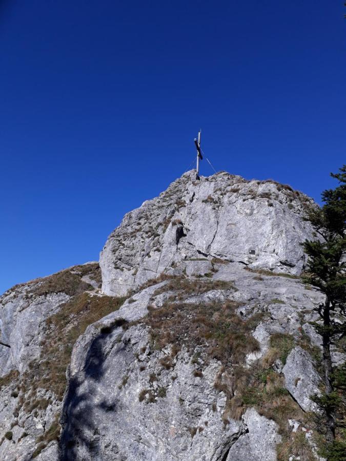 Losenstein Kraeuterhof Miesriglヴィラ エクステリア 写真